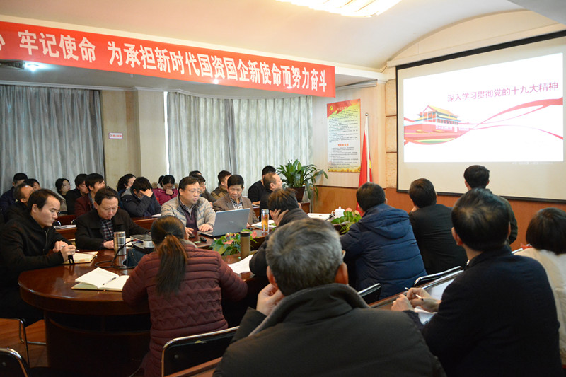 图为国泰集团举行“深入学习贯彻党的十九大精神”宣讲报告会现场.jpg